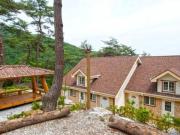 Wonju Sarichi Land in Forest Pension
