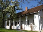 Top Felsőszenterzsébet