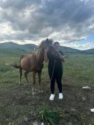 Etno selo - Guest House Etno Village - TRSA