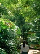 Top Buôn Ma Thuột