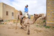 Top Jaisalmer