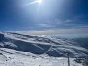 Top Cenes de la Vega