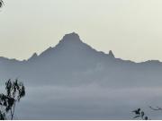 PAWA Homestays 1br Nanyuki