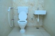 Top Nellore