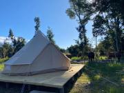 Top Ensenada Top Ensenada