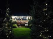 Top Małe Ciche Top Małe Ciche