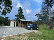 Top Carolina del Principe