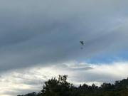 Family Holiday Homestay Kalimpong