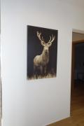 Top Pontresina