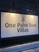 One Palm Tree by Melba STUDIO TYPE