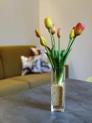 Top Castelfranco Emilia