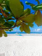 Nanettes Tourist Inn