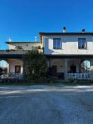 Le camelie 2 di Francesca