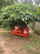 Top Estación Maquegua