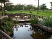 Top Naivasha