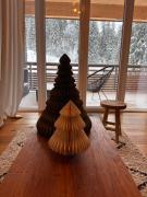 Stube9 am Feldberg, direkt an der Skipiste, Ski in-Ski out