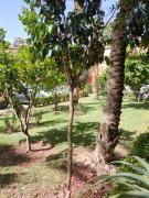 Top Marrakesz Top Marrakesz