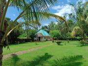 Peace and Love Garden