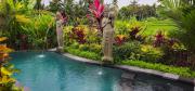 Top Ubud