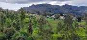 Top Ooty