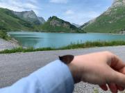 Top Wald am Arlberg