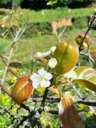 The Farm House Nuwaraeliya