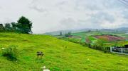 Top Ooty