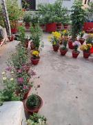 Top Varanasi