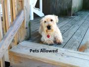 Top Kill Devil Hills