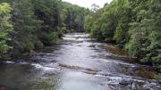 Top Dahlonega