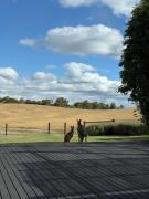 Luminous Pond Farm Wine Country Hahndorf