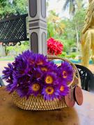 Sagarika Beach Hotel