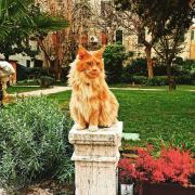 Cinqueteste Luxury Home