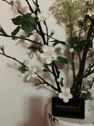 Luxe Appartementen Leonardus