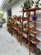 Top Cartagena de Indias