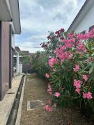 Aisy Guest House -Homestay-