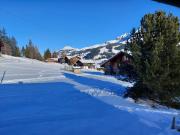 Top Adelboden Top Adelboden