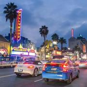 Los Angeles Cozy Vibe