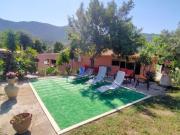 Top Solanas