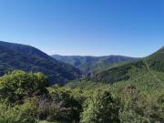 Top Pied-de-Borne