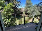 Top Payson