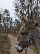 Top Soucht Top Soucht