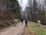 Top Soucht Top Soucht