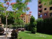 الحج سيد البدري