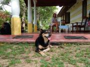 Surf reef guest house