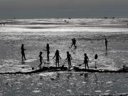 Top Agon Coutainville