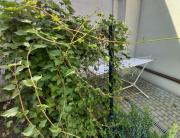 Top Kraków Top Kraków