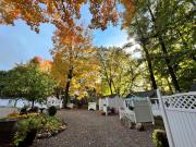 Top Wolfeboro