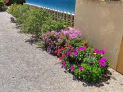 Douce Toison dOr avec clim