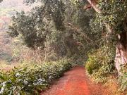 Top Angra do Heroísmo